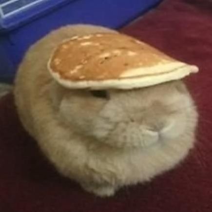 hさんのプロフィール画像