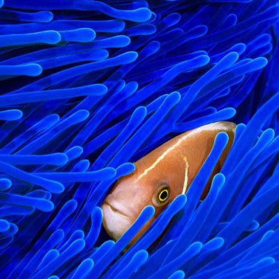 daybydayXL's profile picture. Music is beautiful and life not so much. That’s why blend with the base and play along until it’s your time to shine.