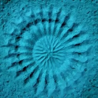 yn95011731's profile picture. 