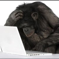 Interstellar Monkey (@oknetizen) 's Twitter Profile