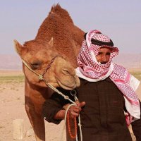 عمّـار محسـن 🇸🇦 (@mnyalfdly) Twitter profile photo