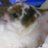 muchunpochun's profile image