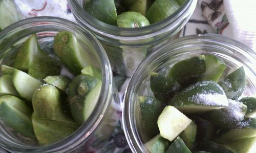 WeLove2Can's profile picture. Located in the Pacific NW. Interested in prepping, canning, dehydrating, freezing and home food preservation, learning and sharing. God is Good!