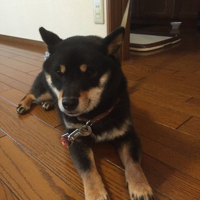 KHiro1007's profile picture. 