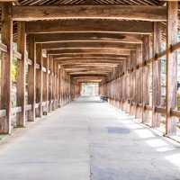 タカ (@preftakahashi) Twitter profile photo