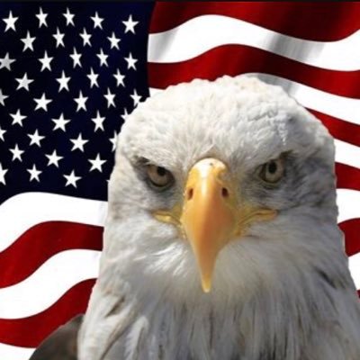 Proud Election Denier and supporter of true democracy! MAGA Deplorable and true American Patriot 🇺🇸