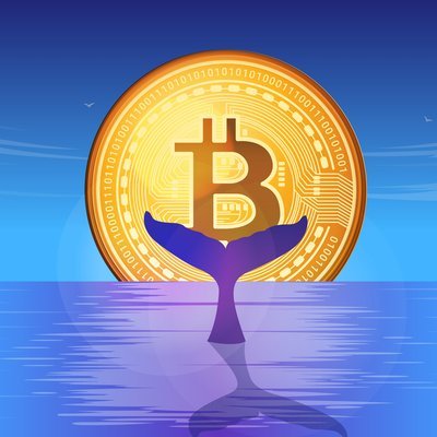 Diamants are created by pressure. #cryptohodler #NFT
-CEO cleaning company
-CEO education site
-Investor