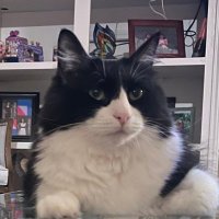 Texas is treading on me!! (@cmt13cal) 's Twitter Profile Photo Texas is treading on me!! (@cmt13cal) 's Twitter Profile Photo
