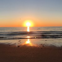 Chelsea Smythe (@smythein4th) 's Twitter Profile