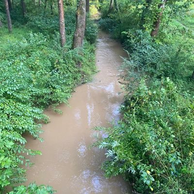 Photos and videos of the creek that flows through Carrboro and Chapel Hill. Photography by Michael Harrison (@oldbie).