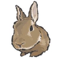 らぱん (@lapin_0407) 's Twitter Profile