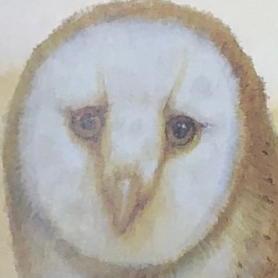 JarFullOfWorms's profile picture. AH! ? :)