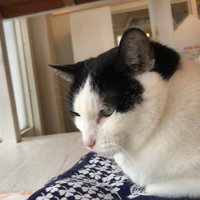 IWVRCmaPkX2ejp7's profile picture. 富士で暇人ですよろしくお願いしますお気楽で爽やか系             alsok568898@icloud.com