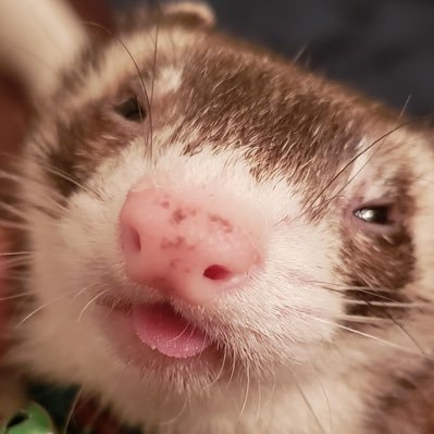 everybodyli3s's profile picture. Finally working my dream job. Gay. Semi happy with life. NYC. Looking suspiciously for a suspicious boyfriend.