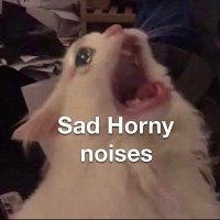 NSFW Papi (@notsovirgin17) 's Twitter Profile