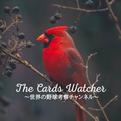 TheCardsWatcher Profile Picture