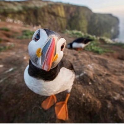 HLM0980's profile picture. 