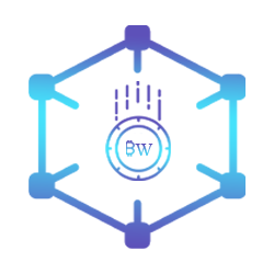 blockchainWize_'s profile picture. 