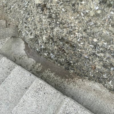 ttbike350's profile picture. 