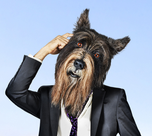 TrevorMountleg's profile picture. Full time entertainer that's been playing it for years as a part-time rock star and comedian.