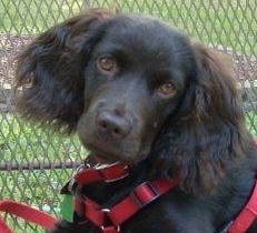 chloe_HCR's profile picture. 