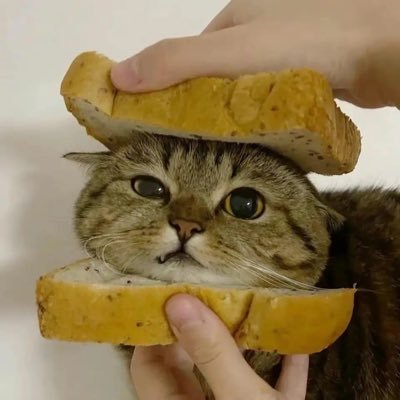 taxiangwu's profile picture. 低级趣味但很快乐