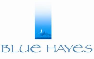 BlueHayesStIves's profile picture. VisitBritain GOLD and BREAKFAST Awards.  Small private boutique hotel, overlooking St Ives Harbour and Bay.