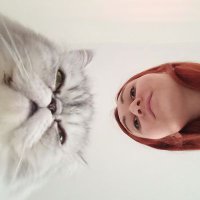 Анічка з кіціком(@tasamaanichka) 's Twitter Profile Photo