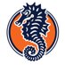 Christchurch School Athletics (@seahorseccs) Twitter profile photo Christchurch School Athletics (@seahorseccs) Twitter profile photo