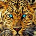 Ginny (Modi ka parivaar) (@ginnyanand2006) Twitter profile photo Ginny (Modi ka parivaar) (@ginnyanand2006) Twitter profile photo