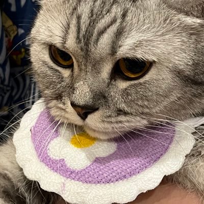 pprvj's profile picture. พี่จะบ่น พี่จะก่นด่าแต่ไม่หยาบมาก