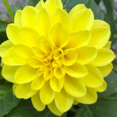 Ingyjon's profile picture. 