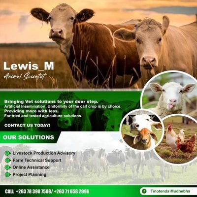 AnimalScientist...🎓(UZ)
Artificial Insemination Technician_💼(CUT)
Agriculture Consultancy (on farm or online)😎 
Young Farmer🐮🧑‍🌾🌽 
#Vision2030🇿🇼