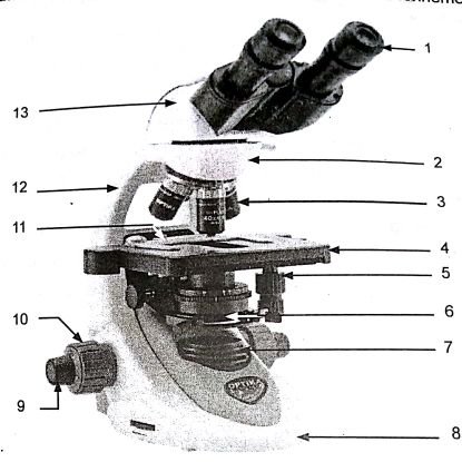 dawiga11's profile picture. 