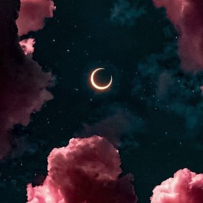 C91zP's profile picture. 