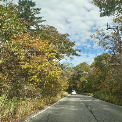 178センチ20代、全開で走る旅好き。