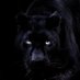 Raven Elizabeth (@zero_chaos80) Twitter profile photo