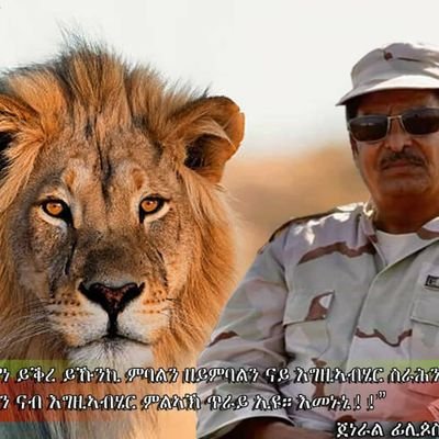 alem60074915's profile picture. 