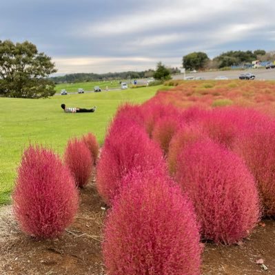 Non_studylog's profile picture. Love the life you live. Live the life you love/デジLIG Webデザイナー専攻/3月直伝/現:制作会社のWebディレクター🌿 🇺🇸🇦🇺🇪🇸🇹🇭🇮🇩🇱🇦🇰🇭🇲🇴🇹🇼🇨🇳🇰🇷🇻🇳✈️🎬/97’/