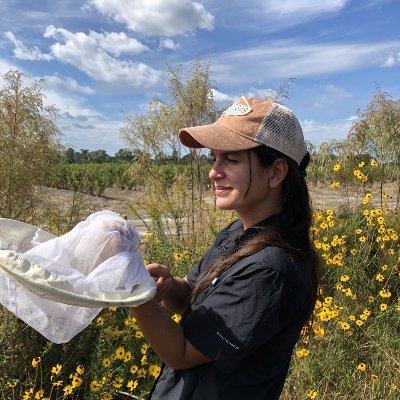 A Ph.D. student studying wild bee communities in agriculture systems | passionate about bee taxonomy | nature | scientific illustration (she/her)