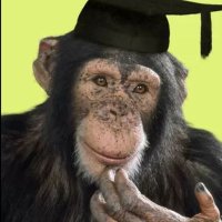 The Philosopher's Monkey(@Dunnylad1) 's Twitter Profile Photo