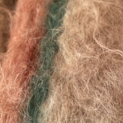 araxadon's profile picture. 