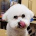 Mimi (@mimizart2) Twitter profile photo Mimi (@mimizart2) Twitter profile photo