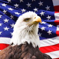 Ron🇺🇸 (@revronnc) 's Twitter Profile