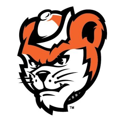 SHSUSportsRD Profile Picture