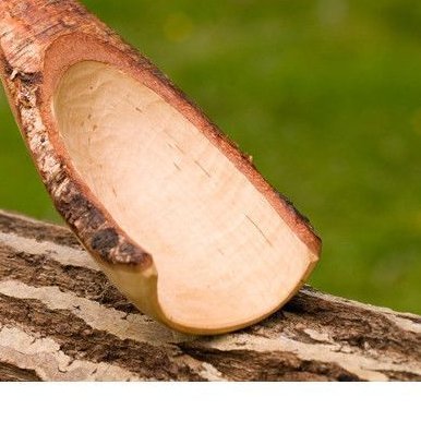 emptyscoop's profile picture. 