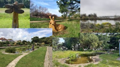 Celebrating all of BCP nature and diversity in our Parks and Open Spaces