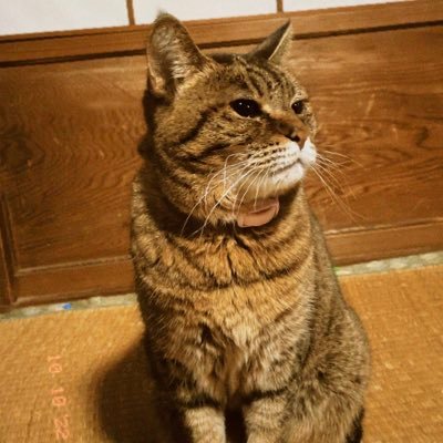 happa_you's profile picture. #藤井風 #東方神起 #チャンミン #changmin #ユノ #yunho #최강창민 #MAX #동방신기⁠ ⁠ #TVXQ⁠ ⁠ #BTS #防弾少年団 #jhope etc