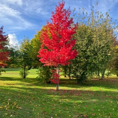 millerdave50's profile picture. 