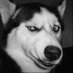 二狗 (@cryptoergou) Twitter profile photo 二狗 (@cryptoergou) Twitter profile photo